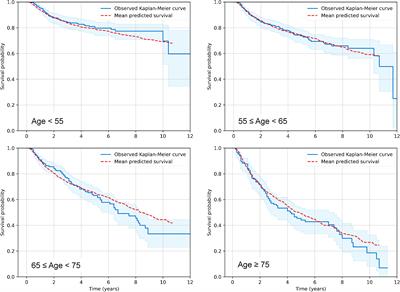 Understanding the impact of radiotherapy fractionation on overall survival in a large head and neck squamous cell carcinoma dataset: a comprehensive approach combining mechanistic and machine learning models